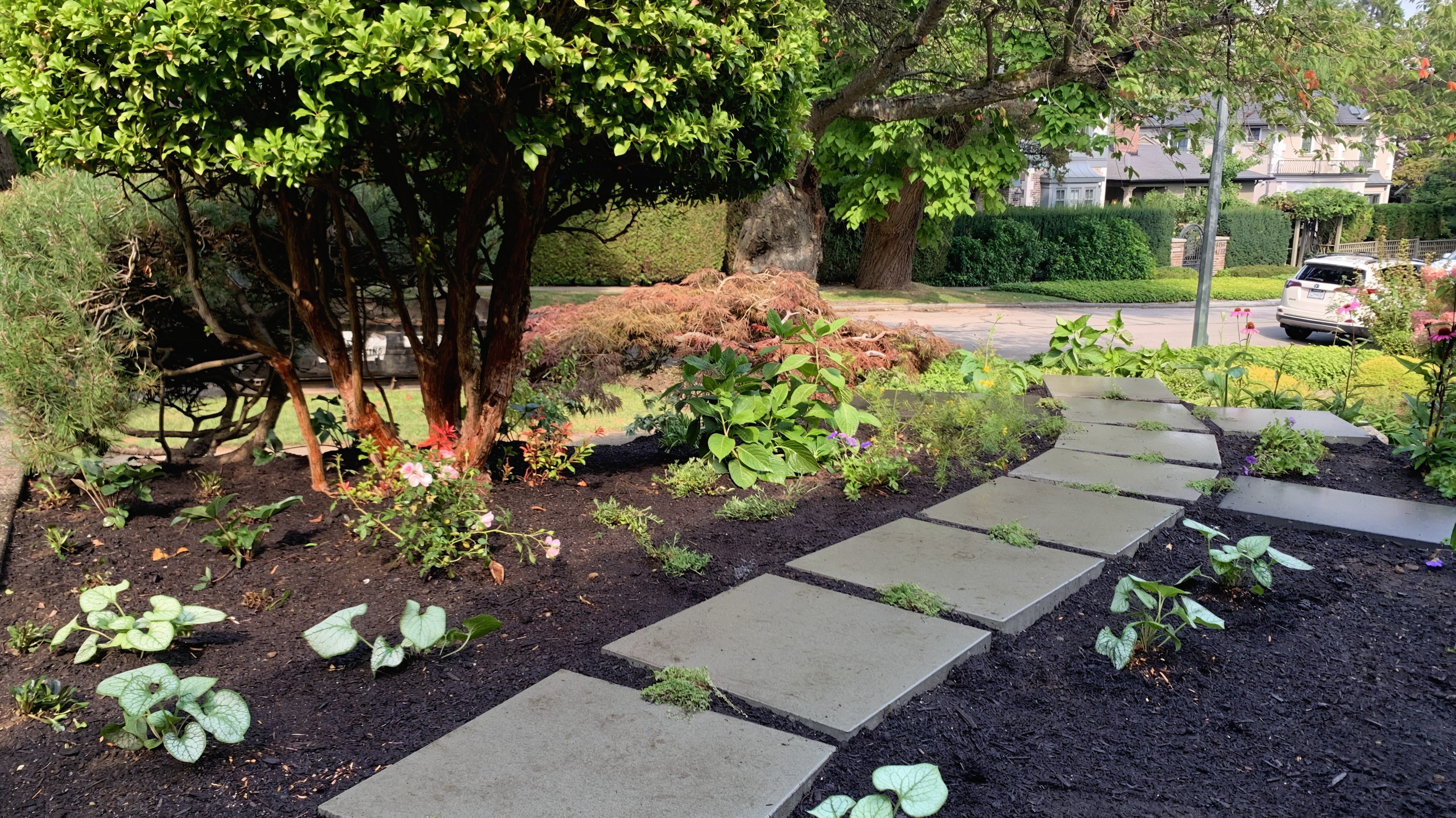 Custom design, Concrete slabs, Garden beds and Plants at the West 10th project.